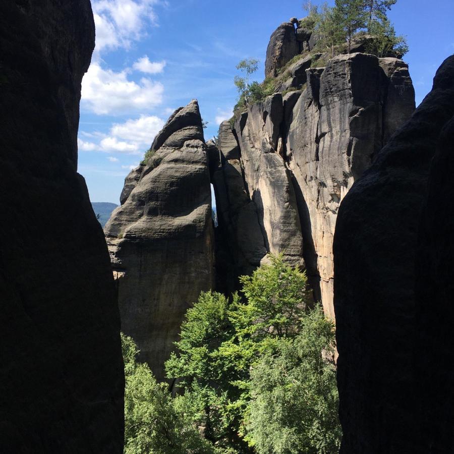 Bergblick Apartment SäChsische Schweiz 赛博尼茨 外观 照片
