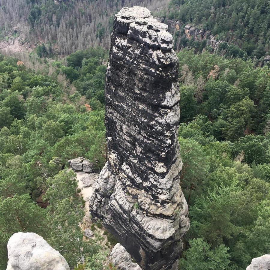 Bergblick Apartment SäChsische Schweiz 赛博尼茨 外观 照片