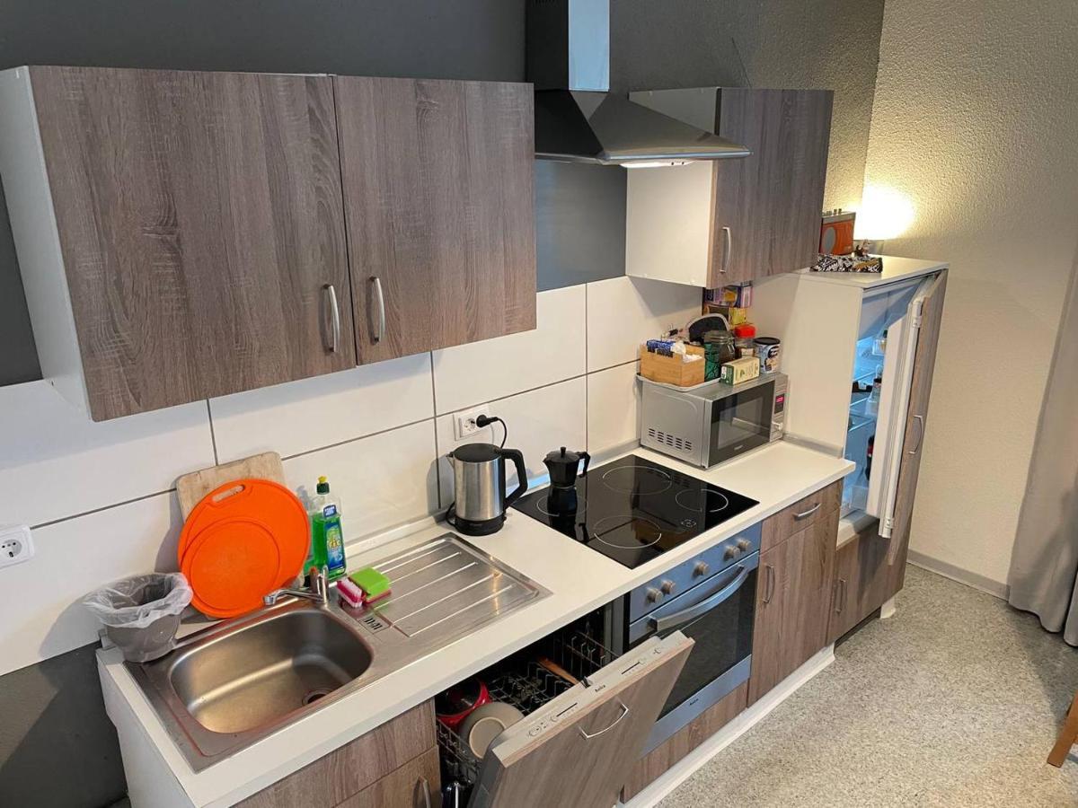 Bergblick Apartment SäChsische Schweiz 赛博尼茨 外观 照片