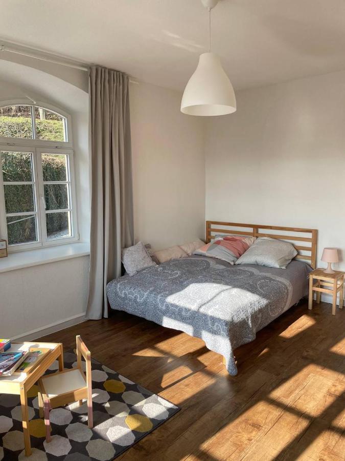 Bergblick Apartment SäChsische Schweiz 赛博尼茨 外观 照片